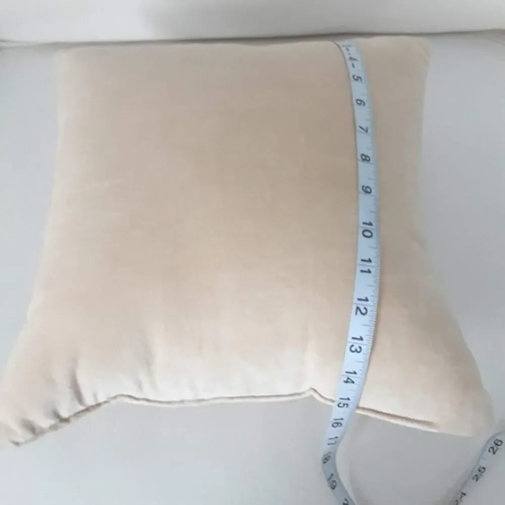 Primitives by Kathy GATHER Embroidered Creme Velvet 12x12 Square Throw Pillow